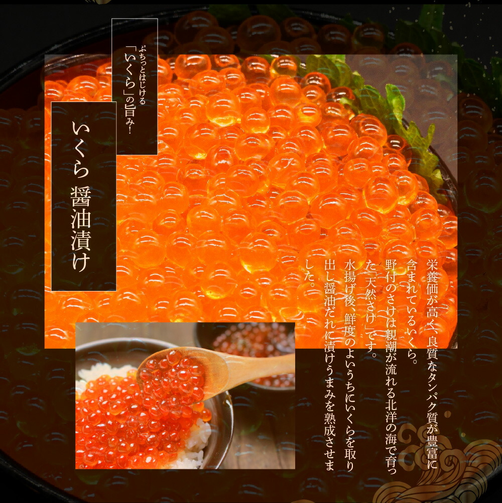 ふるさと納税 北海道 イクラ 塩水ウニ 北海道産 産 いくら 海鮮 塩水うに セット 100g