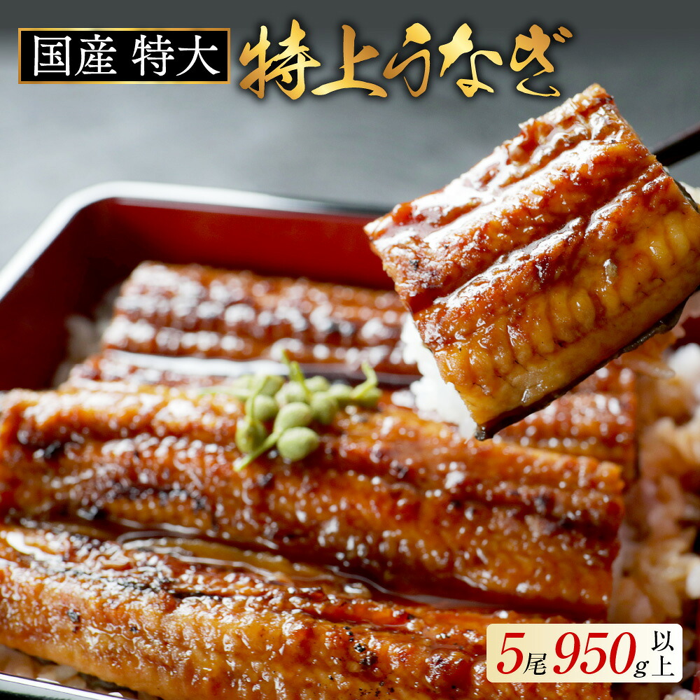 【ふるさと納税】特大 特上うなぎ 190g&times;5尾【発送時期が選べる】（ ふるさと納税 うなぎ 国産 うなぎ 美味しい 鰻 ウナギ 蒲焼き 蒲焼 かばやき 魚 魚介 魚貝 海鮮 うな重 ひつまぶし 蒲焼 ギフト 人気 おすすめ 北海道 別海町 ふるさと納税 )｜北海道別海町