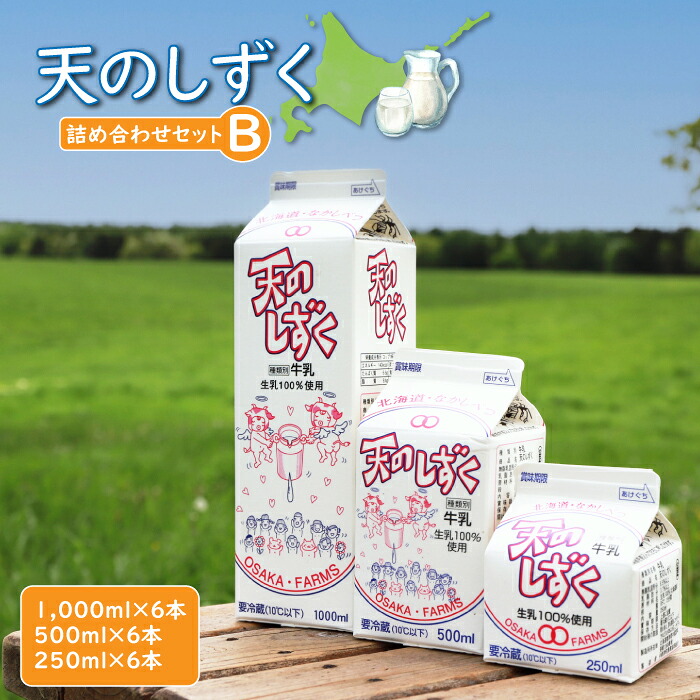 【ふるさと納税】天のしずく 詰め合わせセットB 1000ml×6本 500ml×6本 250ml×6本 牛乳 ミルク 生乳100% お取り寄せ 贈り物 中温殺菌 OSAKA FARMS 北海道 中標津町 中標津【5100201】|北海道中標津町