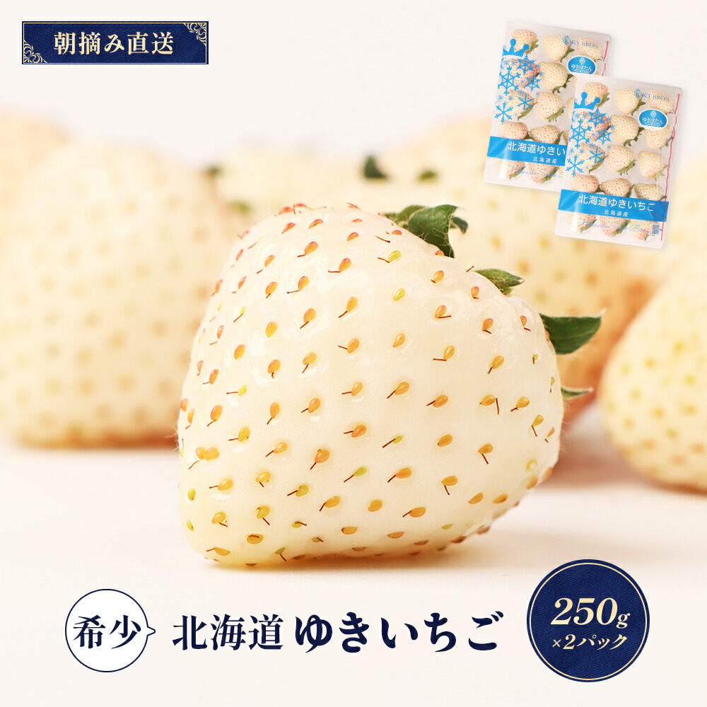 【ふるさと納税】【受注後、随時発送！】【北海道産】ゆきいちご（白いちご） 2Pセット 250g×2 計500g 苺 イチゴ 白いちご 一季成りイチゴ  希少 高級 ギフト お取り寄せ ふるさと納税 北海道 中標津【59001】