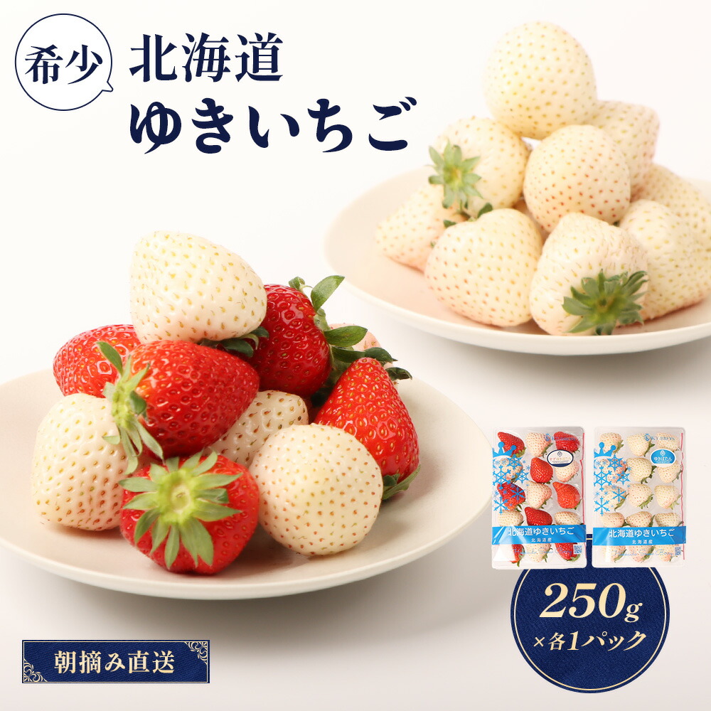 【ふるさと納税】【受注後、随時発送！】【北海道産】ゆきいちご（ゆきぼたん/紅ほっぺ）白×MIX 2Pセット 各250g×2 計500g 苺 白いちご 一季成りイチゴ 希少 ギフト お取り寄せ ふるさと納税 北海道 中標津町【59002】