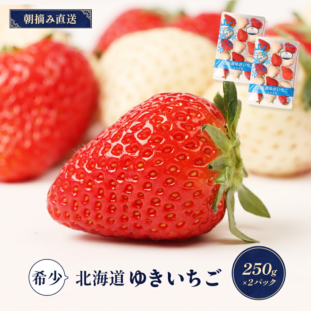 【ふるさと納税】【受注後、随時発送！】【北海道産】ゆきいちご（ゆきぼたん/紅ほっぺ）赤白MIX×2Pセット 250g×2 計500g 苺 白いちご 一季成りイチゴ 希少 ギフト お取り寄せ ふるさと納税 北海道 中標津【59003】