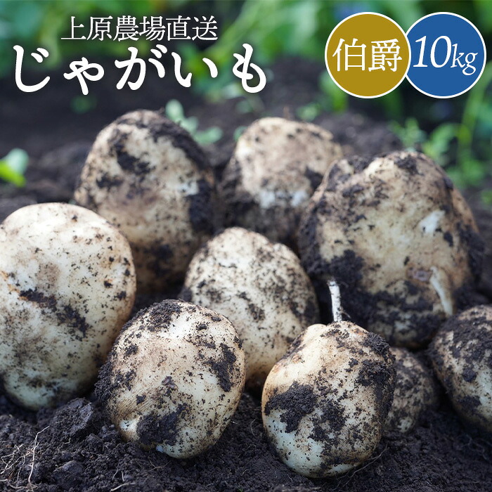 【ふるさと納税】じゃがいも 伯爵 10kg いも おいも 芋 イモ ジャガイモ ポテト はくしゃく 予約 オンライン 申請 ふるさと納税 北海道 中標津 野菜 根菜 産地直送 新鮮 採れたて 粉ふきいも じゃがバター フライドポテト 10キロ【6600301】