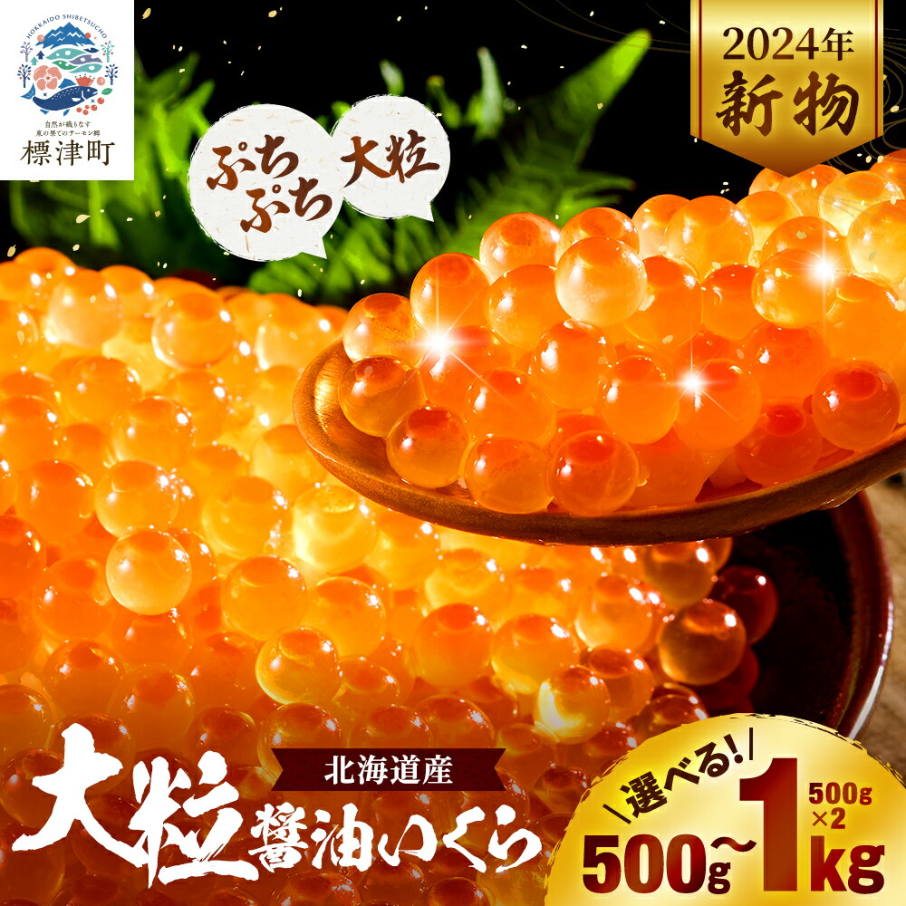 【ふるさと納税】【令和6年新物】大粒醤油いくら(500g×1個/500g×2個)_ いくら 海鮮 魚卵 大粒 醤油漬け 人気 おすすめ 送料無料 贈答 ギフト 北海道 産地直送 標津町 鮭 冷凍 さけ【配送不可地域：離島】【G1468293】