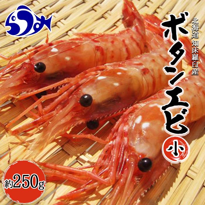 楽天市場】【ふるさと納税】知床羅臼ボタンエビ(小) 1kg エビ 魚介類