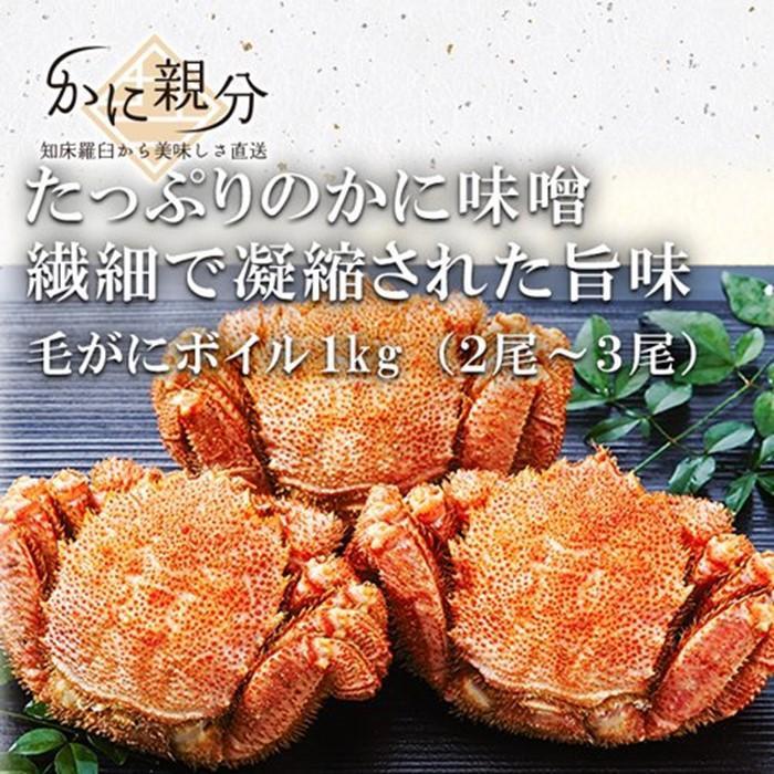 【ふるさと納税】冷凍ボイル毛ガニ 1kg(2-3尾) | 蟹 魚介類 水産 食品 人気 おすすめ 送料無料