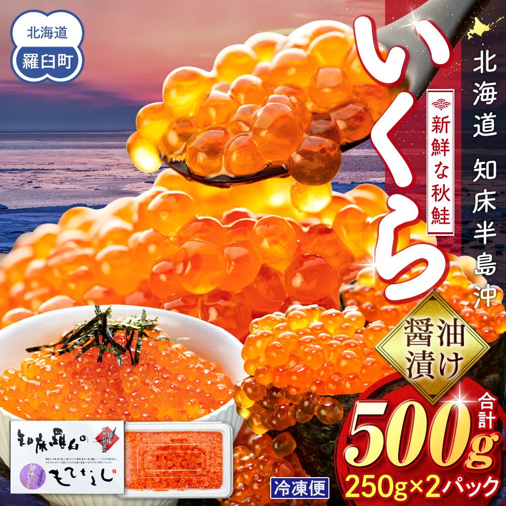 【ふるさと納税】いくら醤油漬け 500g（250g×2パック） イクラ 魚卵 いくら丼 海鮮丼 ご飯のお供 羅臼町 北海道 生産者 支援 応援