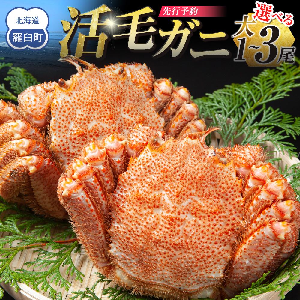 【ふるさと納税】 【先行予約/2026年4月発送開始】活毛ガニ　大１尾～大３尾（600g～650g前後） | 蟹 魚介類 水産 食品 人気 おすすめ 送料無料