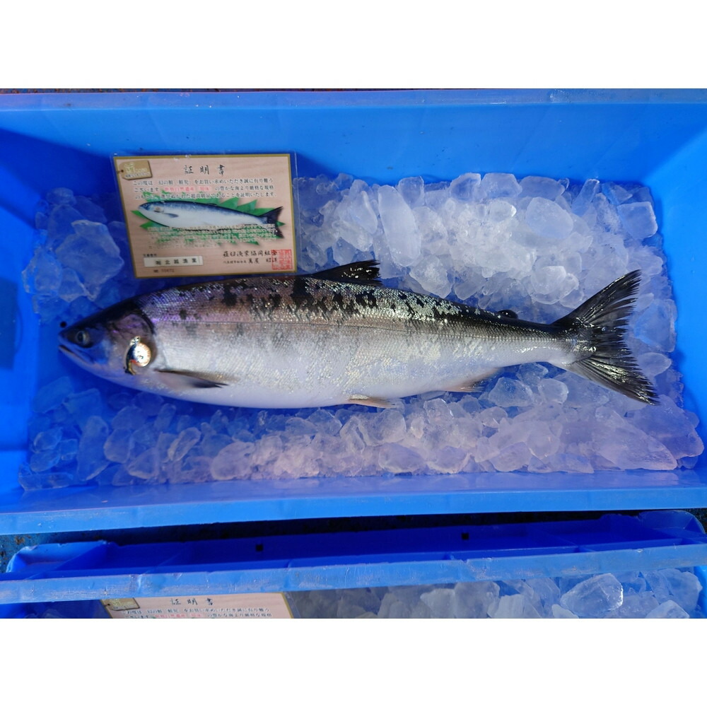 岩本政一 備前焼 窯変徳利 共箱共布栞 とっくり 酒器 食器 一輪挿し花