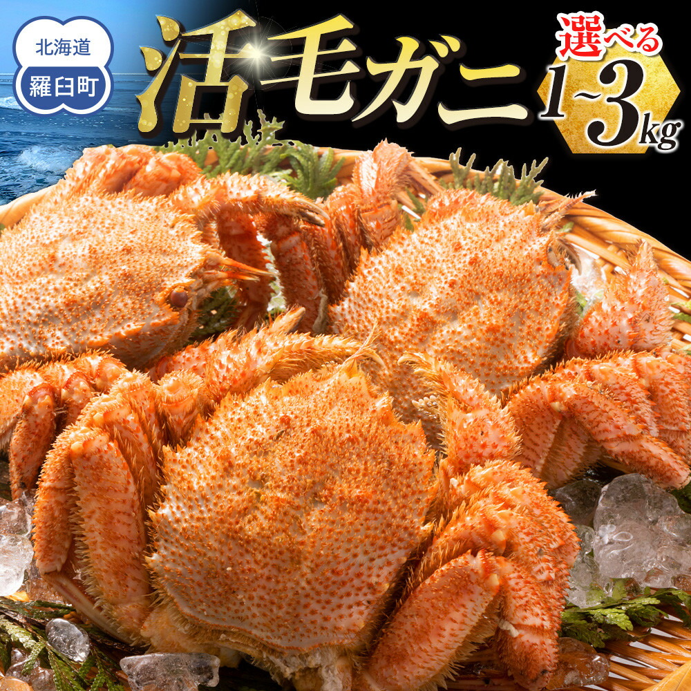 【ふるさと納税】 【先行予約/2026年4月発送開始】活毛ガニ　１kg～３kg　（300g～500g　２～9尾） | 蟹 魚介類 水産 食品 人気 おすすめ 送料無料
