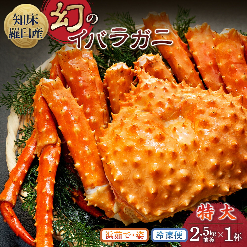 【ふるさと納税】知床イバラがに 姿(特大) いばらがに かに カニ 蟹 羅臼町 北海道産 海産物 生産者 支援 応援|北海道羅臼町