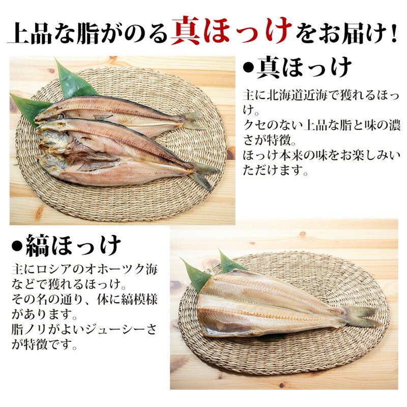 絶対一番安い ふるさと納税 その他の魚 北海道羅臼町 羅臼産開きホッケ 北海道羅臼町 F21m 0 5枚セット 魚介類 海産物 Www Tntsportsplex Com 絶対一番安い ふるさと納税 その他の魚 北海道羅臼町 羅臼産開きホッケ 北海道羅臼町 F21m 0 5枚セット 魚介類 海産物 Www Tntsportsplex Com