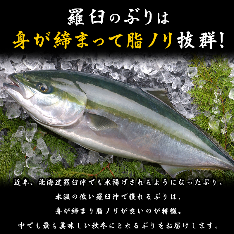 ふるさと納税 ぶり三昧 4分の1尾分 羅臼 世界自然遺産 北海道 知床 人気 しれとこ らうす