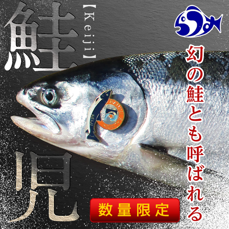 楽天市場 ふるさと納税 北海道羅臼産 幻の鮭児 白鮭 1本 2 1 2 5kg 数量限定 切り身加工 世界遺産知床の海 秋鮭 しゃけ 魚 北海道 海産物 魚介 魚介類 知床 しれとこ 羅臼 らうす 世界自然遺産 人気 ブランド 天然 鮭 さけ サケ シャケ 脂 送料無料 F21m 613