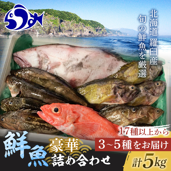 知床羅臼産 鮮魚詰め合わせB 約5kg 魚 北海道 海産物 魚介類 魚介 F21M-741 無料長期保証