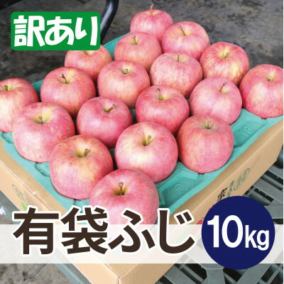 【ふるさと納税】青森県産りんご 平均糖度13度以上! 有袋ふじ 約10kg 訳あり クール便【配送不可地域：離島・沖縄県】【1707178】 16,800円