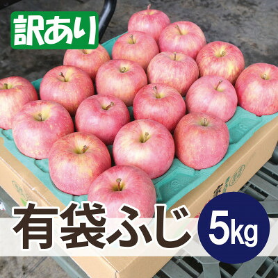【ふるさと納税】青森県産りんご 平均糖度13度以上! 有袋ふじ 約5kg 訳あり クール便【配送不可地域：離島・沖縄県】【1707179】