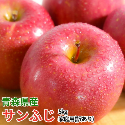 【ふるさと納税】【2026年4月より順次発送】平均糖度13度以上! サンふじ 約5kg 訳あり 青森りんご【配送不可地域：離島・沖縄県】【1722241】