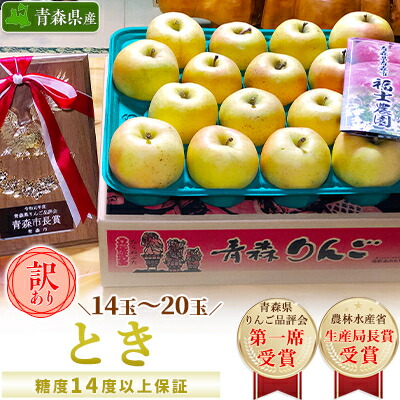 【ふるさと納税】「とき」約5kg・糖度14度以上保証・訳あり家庭用りんご 青森市長賞受賞【配送不可地域：離島・沖縄県】【1106867】｜青森県青森市