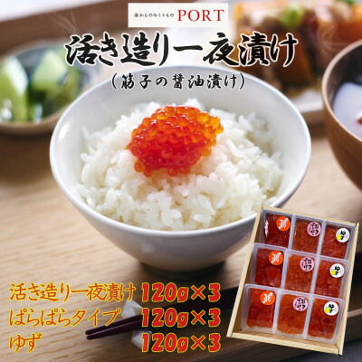 【ふるさと納税】一夜漬けのポート詰め合わせギフト「ひまわり」  120g×9パック【配送不可地域：離島】【1372227】