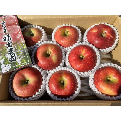 【ふるさと納税】「葉取らず千雪」約3kg・訳あり家庭用りんご【配送不可地域：離島・沖縄県】【1377377】