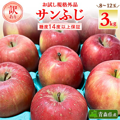 【ふるさと納税】お試し 規格外品 糖度13度以上保証 りんご サンふじ 訳あり 【R7年りんご品評会最高賞】【配送不可地域：離島・沖縄県】【1449164】