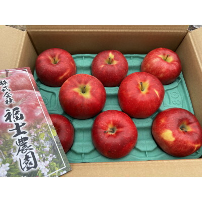 【ふるさと納税】「葉とらずサンジョナ」約3kg・訳あり家庭用りんご【配送不可地域：離島・沖縄県】【1491235】