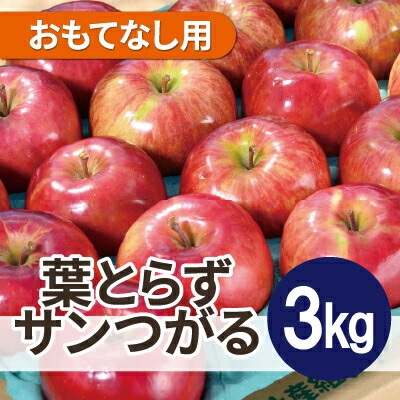 【ふるさと納税】【2026年9月発送予定】平均糖度12度以上! 葉とらずサンつがる 約3kg おもてなし用 クール便【配送不可地域：離島・沖縄県】【1606598】