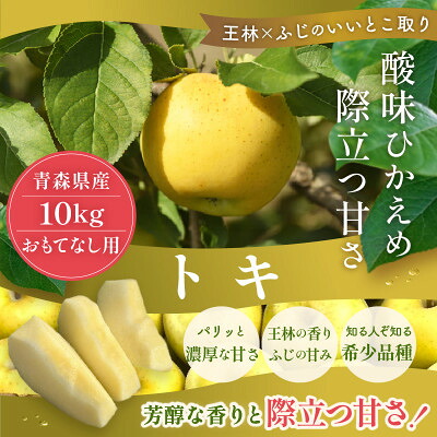 【ふるさと納税】【2026年10月から順次発送予定】平均糖度12度以上! トキ 約10kg おもてなし用【配送不可地域：離島・沖縄県】【1606641】