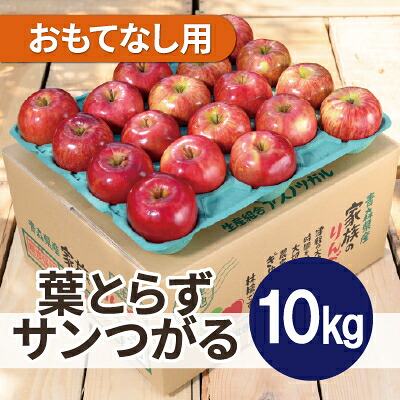【ふるさと納税】【2026年9月発送予定】平均糖度12度以上!葉とらずサンつがる 約10kg おもてなし用 クール便【配送不可地域：離島・沖縄県】【1607022】｜青森県青森市