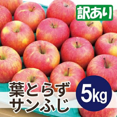 【ふるさと納税】【2025年11月発送予定】平均糖度13度以上! 葉とらずサンふじ 約5kg 訳あり【配送不可地域：離島・沖縄県】【1607469】