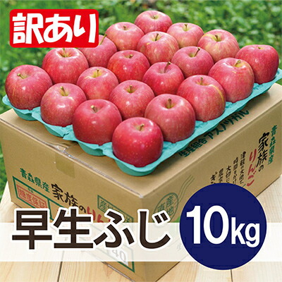 【ふるさと納税】【2026年10月から順次発送予定】平均糖度12度以上! 早生ふじ 約10kg 訳あり【配送不可地域:離島・沖縄県】【1607479】