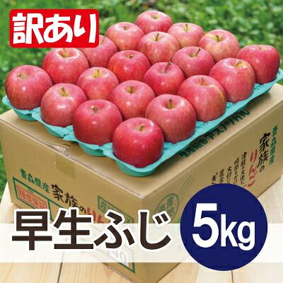 【ふるさと納税】【2026年11月発送予定】平均糖度13度以上! 早生ふじ 約5kg 訳あり【配送不可地域：離島・沖縄県】【1607518】