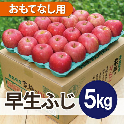 【ふるさと納税】【2026年11月発送予定】平均糖度13度以上! 早生ふじ 約5kg おもてなし用【配送不可地域：離島・沖縄県】【1607551】