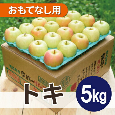 【ふるさと納税】【2026年12月より順次発送】平均糖度13度以上! トキ 約5kg おもてなし用【配送不可地域：沖縄県】【1608040】