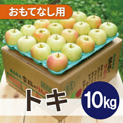 【ふるさと納税】【2026年12月より順次発送】平均糖度13度以上! トキ 約10kg おもてなし用【配送不可地域：沖縄県】【1608045】