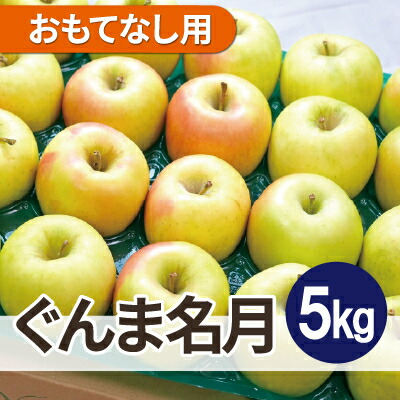 【ふるさと納税】【25年11月より順次発送】平均糖度13度以上! ぐんま名月 約5kg おもてなし用【配送不可地域：離島・沖縄県】【1609634】