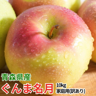 【ふるさと納税】【26年11月~12月出荷】平均糖度13度以上! ぐんま名月 約10kg 訳あり りんご 青森県産【配送不可地域：離島・沖縄県】【1609635】｜青森県青森市 12,600円