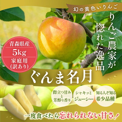 【ふるさと納税】【26年11月より順次発送】平均糖度13度以上! ぐんま名月 約5kg 訳あり【配送不可地域：離島・沖縄県】【1609636】