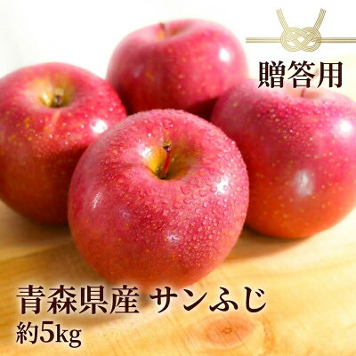 【ふるさと納税】【26年11月～翌年1月まで出荷予定】平均糖度13度以上! サンふじ 約5kg 贈答用　青森りんご【配送不可地域：離島・沖縄県】【1612829】｜青森県青森市