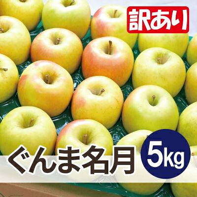 【ふるさと納税】【26年4月～5月出荷予定】平均糖度13度以上! ぐんま名月 約5kg 訳あり CA貯蔵 クール便【配送不可地域：離島・沖縄県】【1612879】