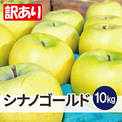 【ふるさと納税】【26年6月出荷予定】平均糖度13度以上! シナノゴールド 約10kg 訳あり CA貯蔵 クール便【配送不可地域：離島・沖縄県】【1612901】