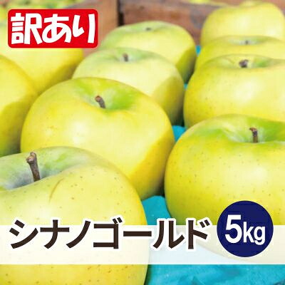 【ふるさと納税】【26年6月出荷予定】平均糖度13度以上! シナノゴールド 約5kg 訳あり CA貯蔵 クール便【配送不可地域：離島・沖縄県】【1612902】