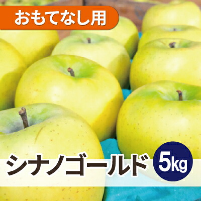 【ふるさと納税】平均糖度13度以上! シナノゴールド 約5kg おもてなし用 CA貯蔵 クール便【配送不可地域:離島・沖縄県】【1612908】
