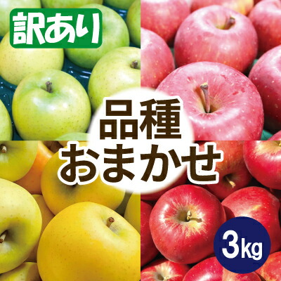 【ふるさと納税】りんご 品種おまかせ 約3kg 訳あり CA貯蔵 クール便【配送不可地域：離島・沖縄県】【1612943】