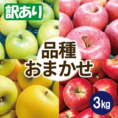 【ふるさと納税】【26年5月出荷予定】りんご 品種おまかせ 約3kg 訳あり CA貯蔵 クール便【配送不可地域：離島・沖縄県】【1612944】