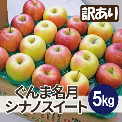 【ふるさと納税】【26年12月出荷予定】糖度13度以上保証! ぐんま名月×シナノスイート 約5kg 訳あり【配送不可地域：離島・沖縄県】【1613015】