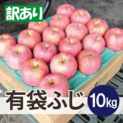【ふるさと納税】【26年5月出荷予定】平均糖度13度以上! 有袋ふじ 約10kg 訳あり CA貯蔵 クール便【配送不可地域：離島・沖縄県】【1613040】