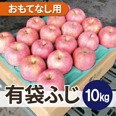 【ふるさと納税】【26年6月出荷予定】平均糖度13度以上! 有袋ふじ 約10kg おもてなし用 CA貯蔵 クール便【配送不可地域：離島・沖縄県】【1613048】