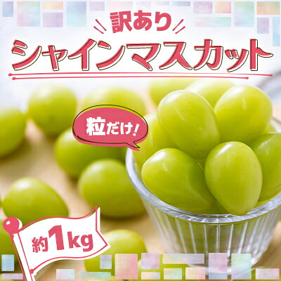 【ふるさと納税】【先行予約】美味しさは「寒暖差」にあり 粒だけ!青森市産【訳あり】シャインマスカット(約1kg)【配送不可地域：離島】【1613276】｜青森県青森市
